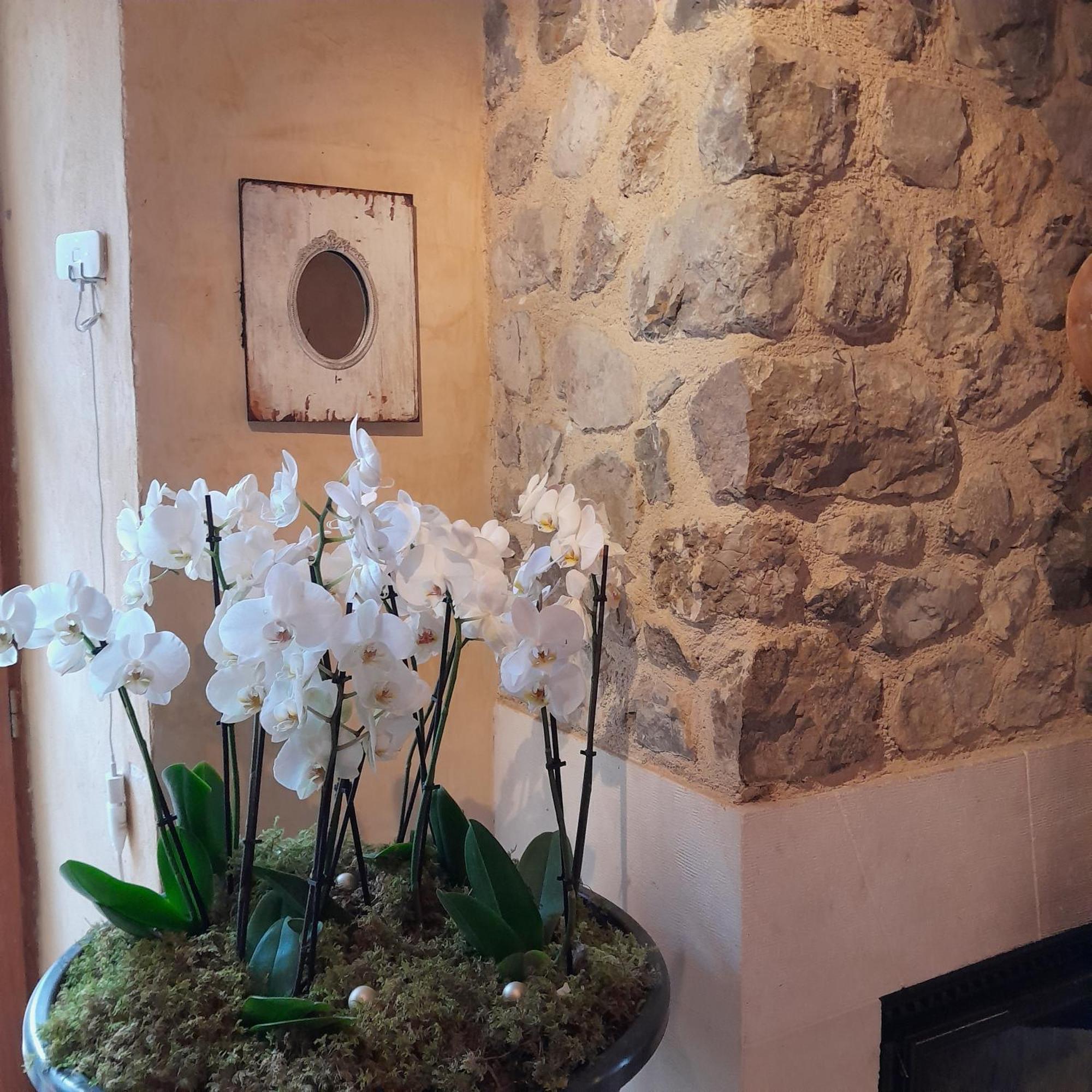 Chambre D'Hotes La Romarine Barnave Kültér fotó