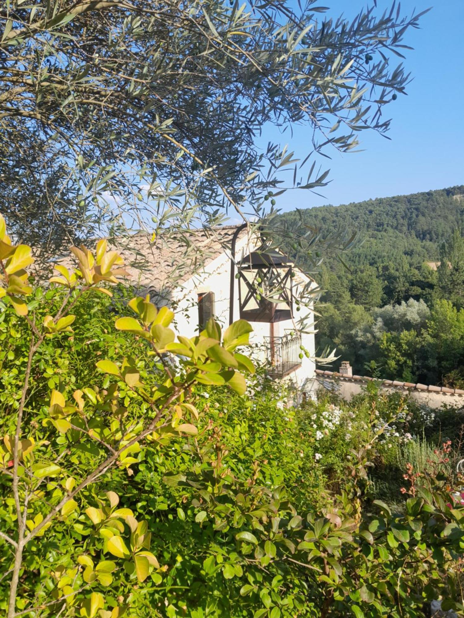 Chambre D'Hotes La Romarine Barnave Kültér fotó