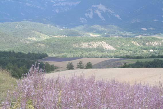 Chambre D'Hotes La Romarine Barnave Kültér fotó
